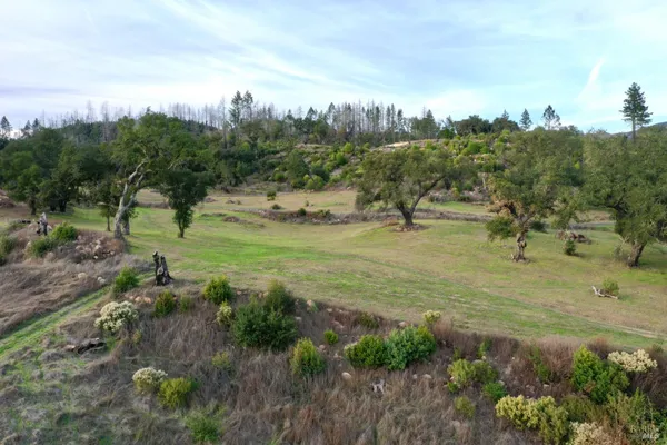a view of a field with trees in the background
