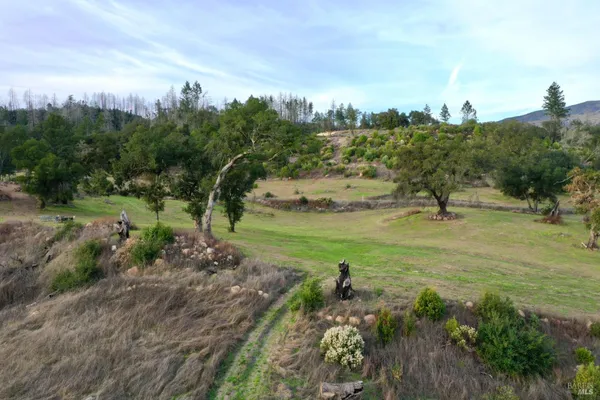 a view of a yard with a mountain