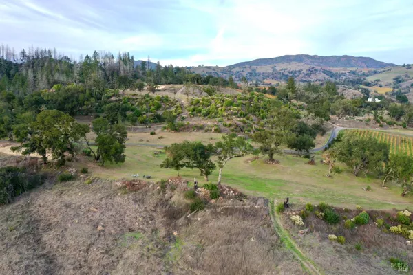 a view of a yard with a mountain view