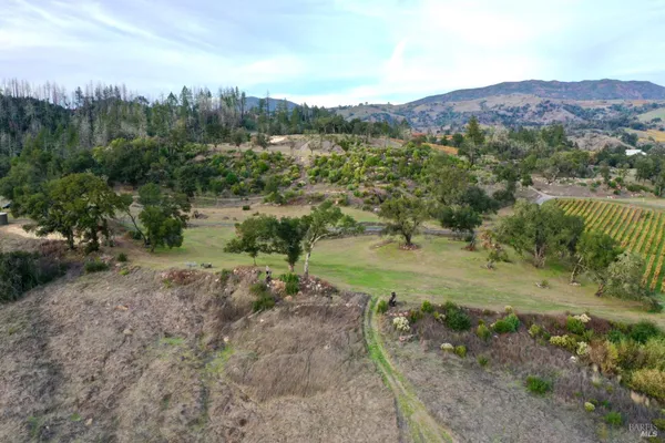 a view of a dirt yard with a large tree