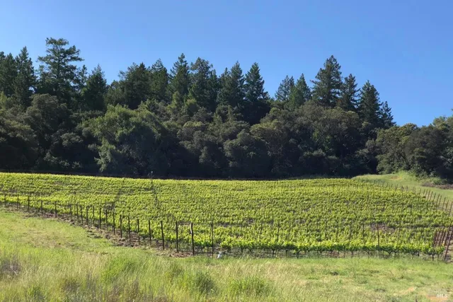 $2,100,000 | 500 Artisan Circle, Geyserville, CA 95441