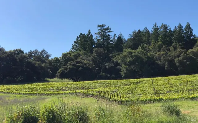 $2,100,000 | 500 Artisan Circle, Geyserville, CA 95441