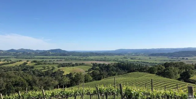 $2,100,000 | 500 Artisan Circle, Geyserville, CA 95441