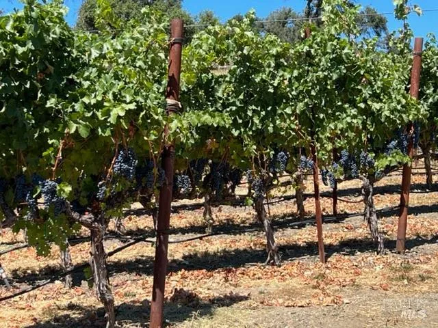 $2,100,000 | 500 Artisan Circle, Geyserville, CA 95441