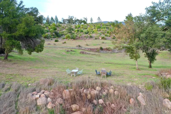 a view of grassy field with trees