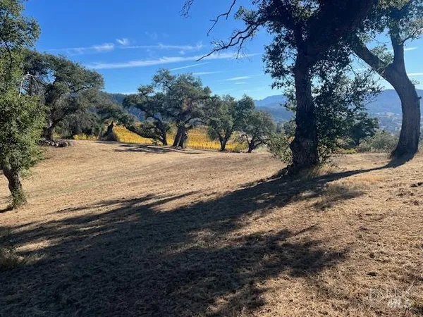 a view of park with trees