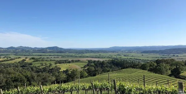 a view of an outdoor space and yard