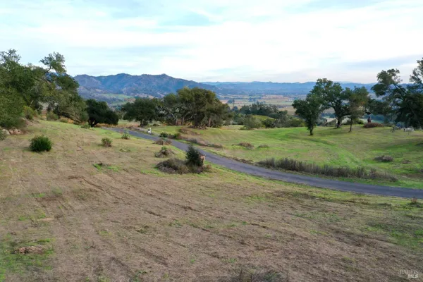 a view of a field with trees in the background