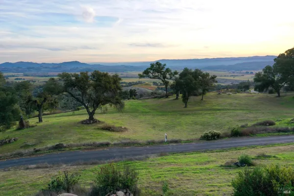 a view of a lush green hillside and a houses