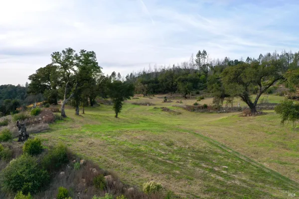 a view of a field with an trees