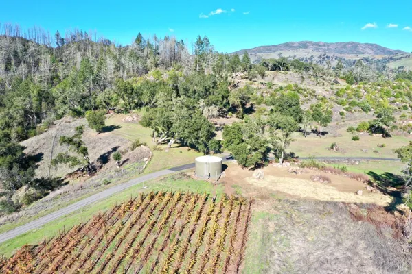 a view of a big yard with lots of green space