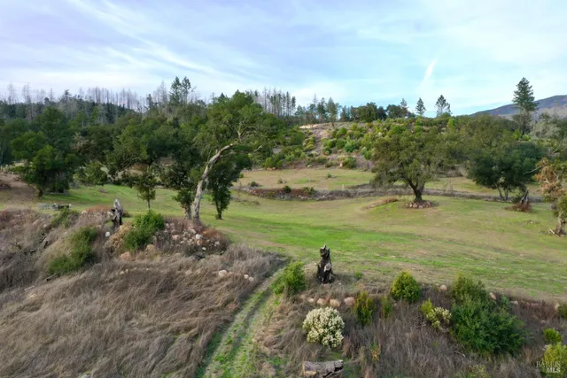 a view of a garden with an ocean