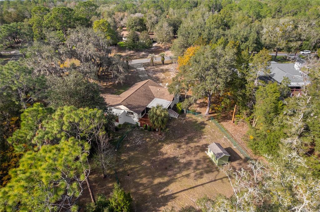 20290 Southwest 97th Place Dunnellon, FL 34431 - Photo 58 of 73 a view of a yard with plants and large trees