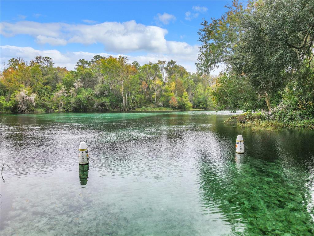 20290 Southwest 97th Place Dunnellon, FL 34431 - Photo 68 of 73 a view of a lake with houses