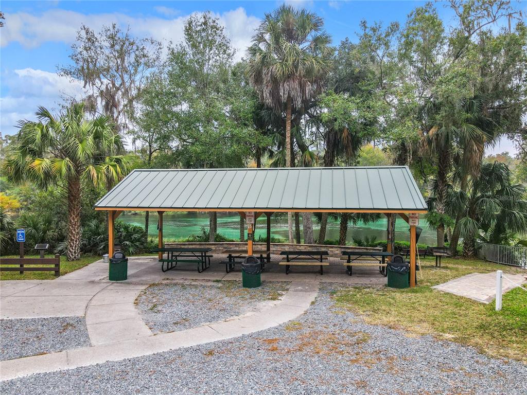 20290 Southwest 97th Place Dunnellon, FL 34431 - Photo 73 of 73 a backyard of a house with barbeque oven table and chairs