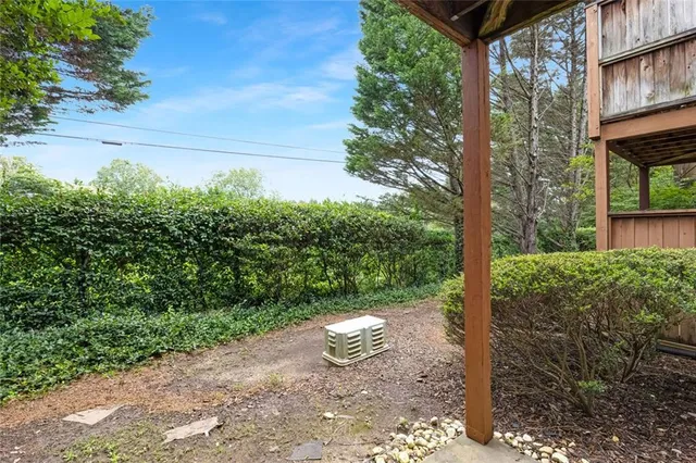 a view of a yard with plants and large trees