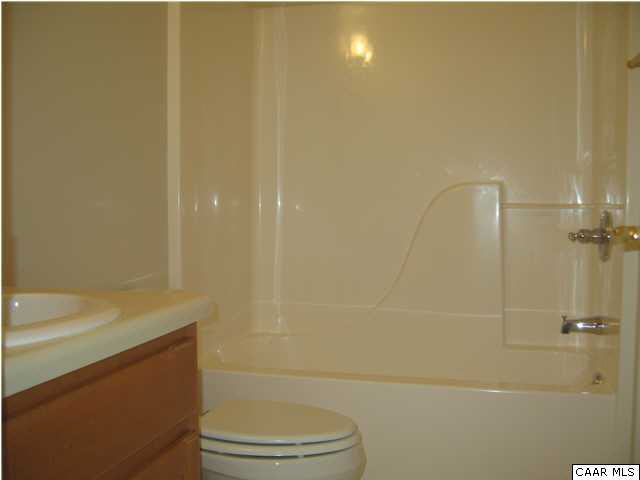 43 Amethyst Road Palmyra, VA 22963 - Photo 18 of 31 a bathroom with a bathtub and toilet