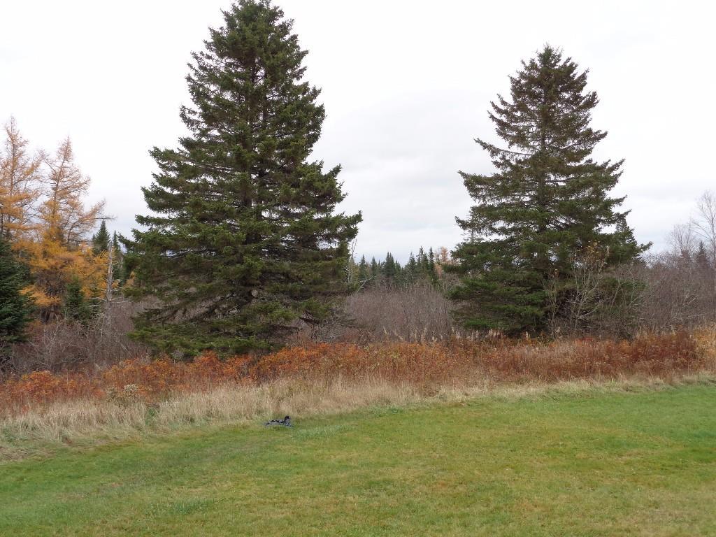 1352 Indian River Road Addison, ME 04606 - Photo 6 of 13 Photo