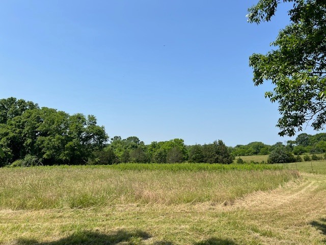 960 Harsh Lane Castalian Springs, TN 37031 - Photo 2 of 51 a view of a lake from a yard