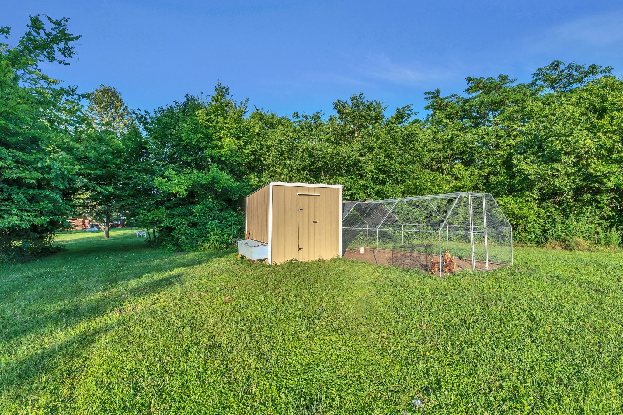 960 Harsh Lane Castalian Springs, TN 37031 - Photo 39 of 51 a view of a tiny house with a park