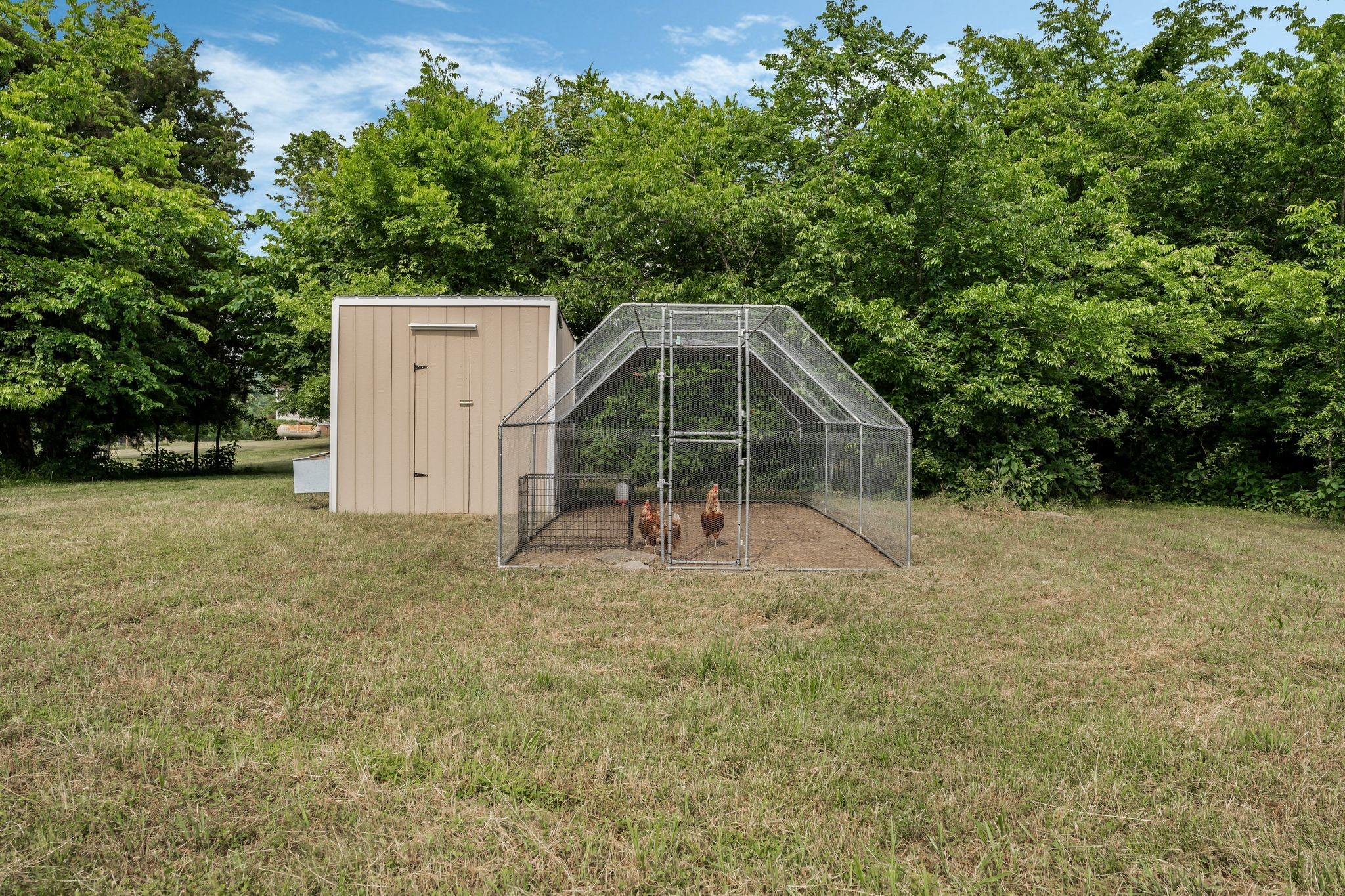 960 Harsh Lane Castalian Springs, TN 37031 - Photo 41 of 51 a house view with a outdoor space