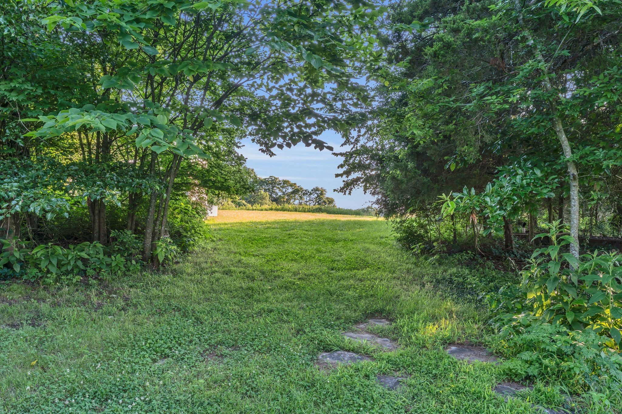 960 Harsh Lane Castalian Springs, TN 37031 - Photo 46 of 51 a view of yard with green space