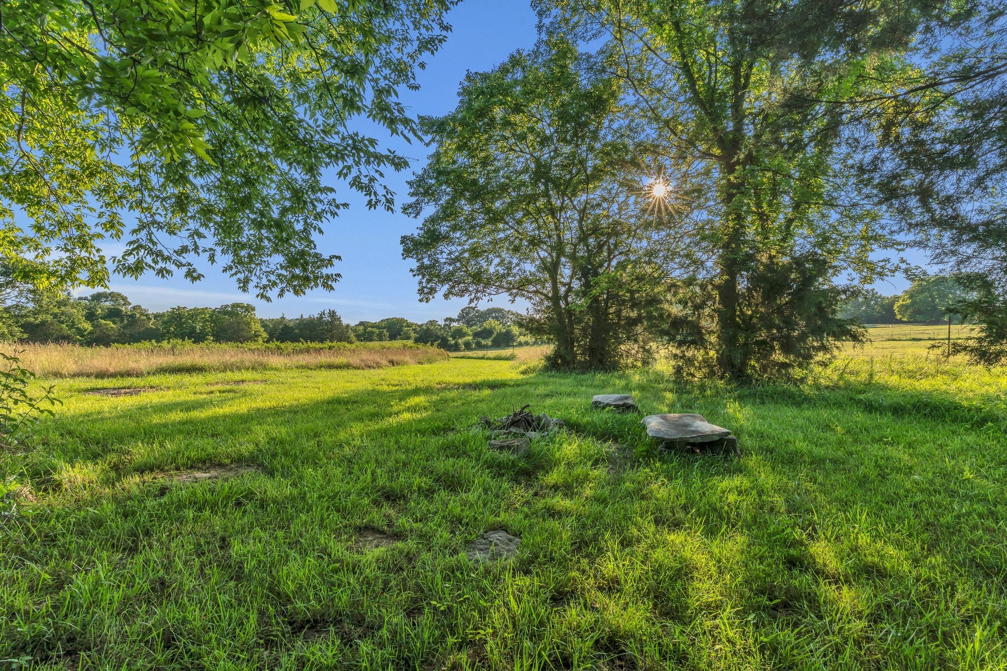 960 Harsh Lane Castalian Springs, TN 37031 - Photo 47 of 51 a view of yard with green space and trees all around