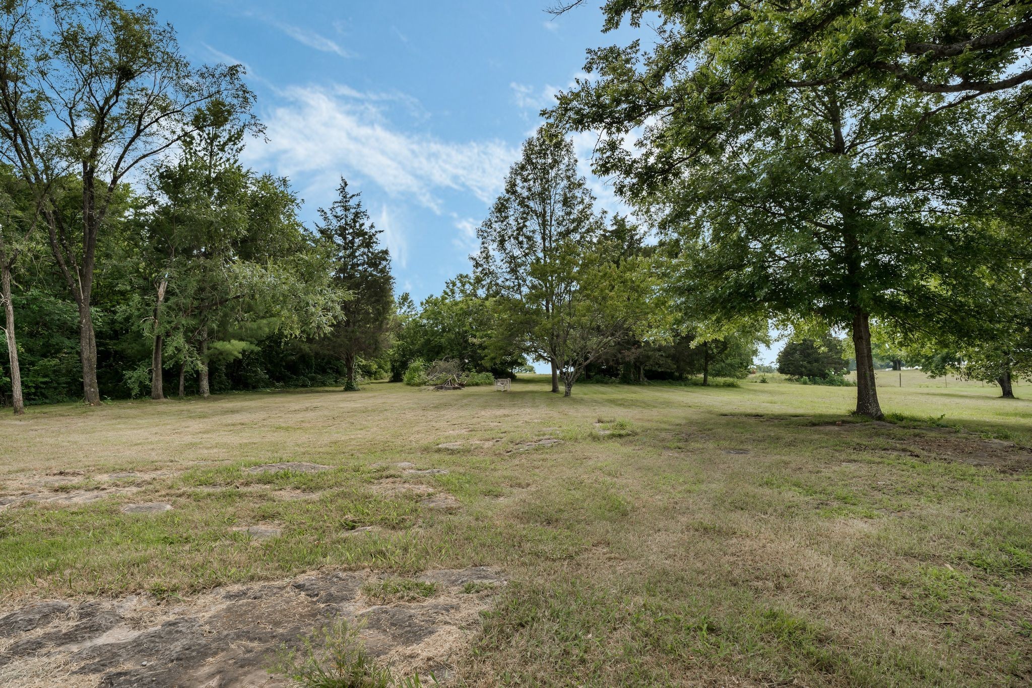 960 Harsh Lane Castalian Springs, TN 37031 - Photo 48 of 51 a view of outdoor space with trees