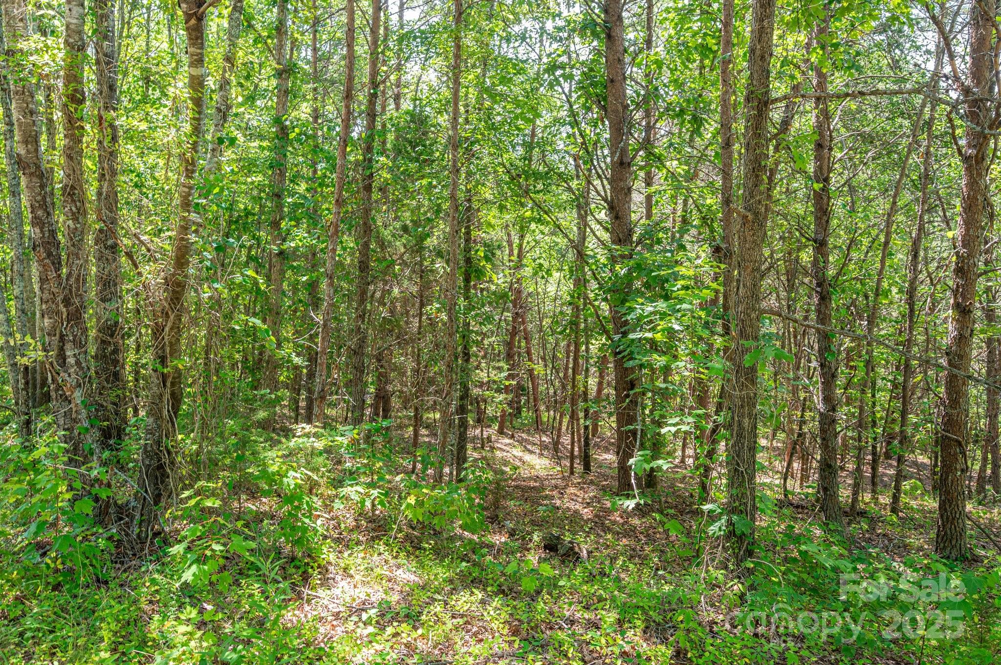 Lot # Meadow Crossing Drive Rutherfordton, NC 28139 - Photo 14 of 14 a view of outdoor space and garden view