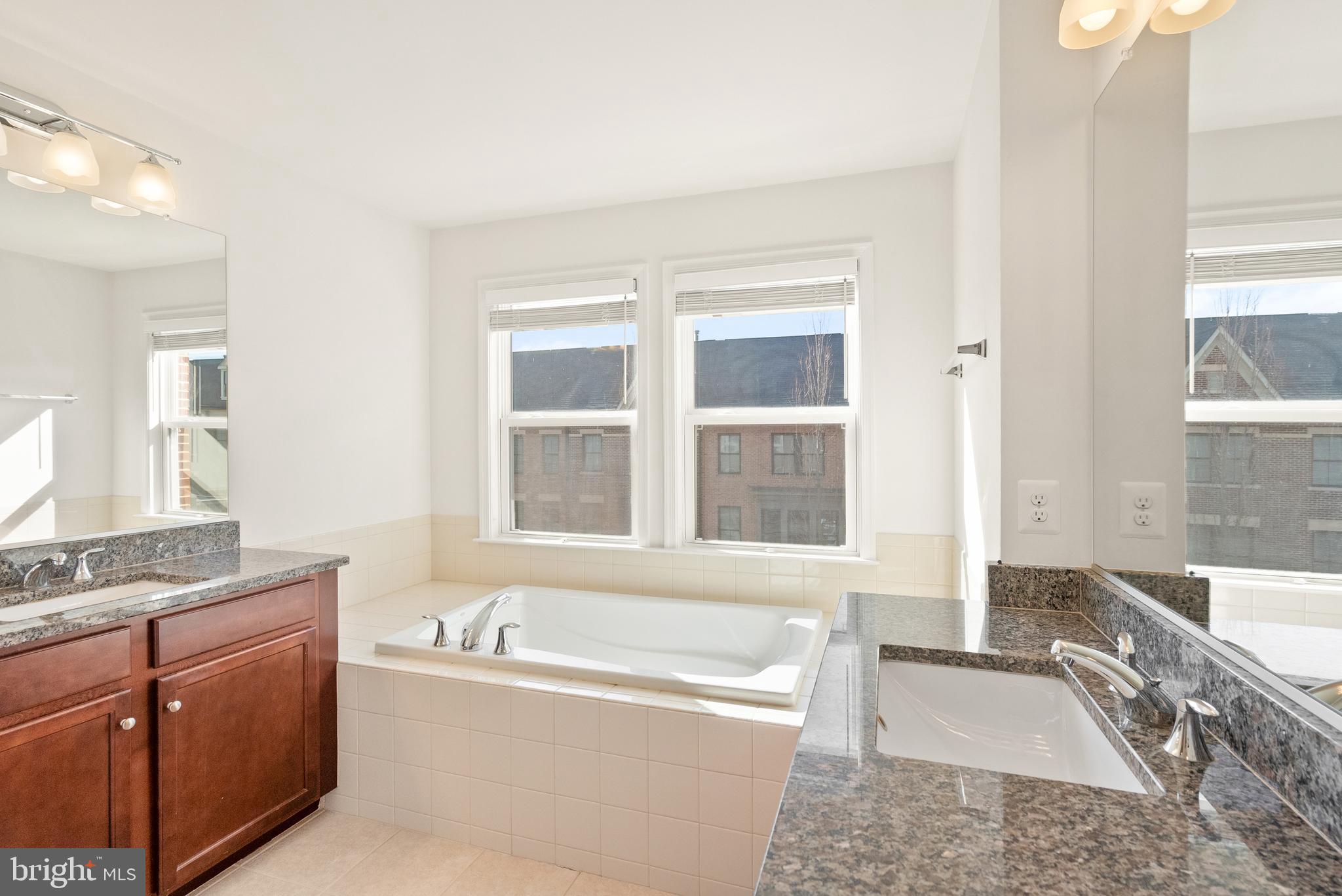 42274 Riggins Ridge Terrace Brambleton, VA 20148 - Photo 31 of 56 a spacious bathroom with a granite countertop tub sink and mirror