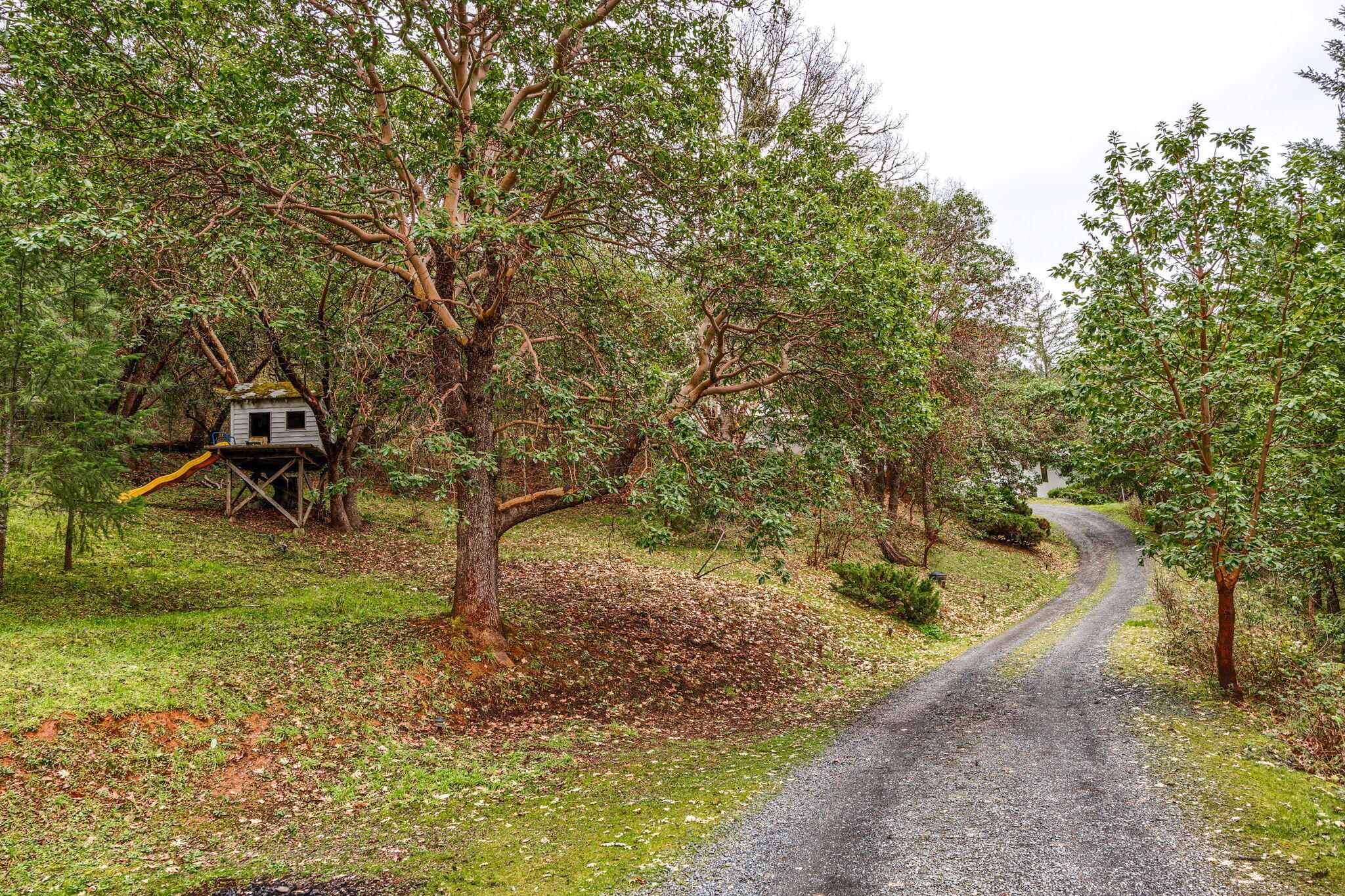 2109 Knowles Road Medford, OR 97501 - Photo 52 of 67 52-web-or-mls-ApxKR (52)