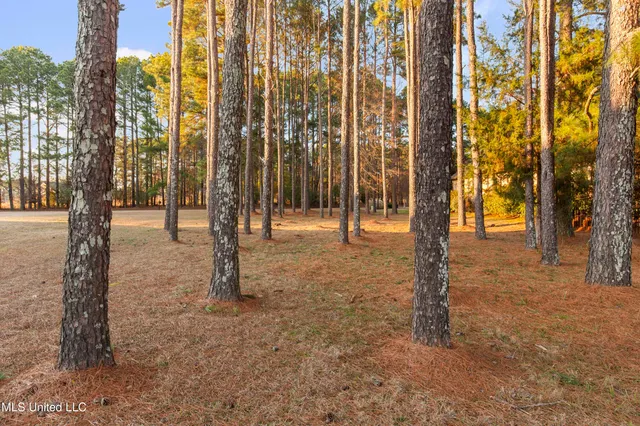 $235,000 | 155 Pembroke Circle, Madison, MS 39110