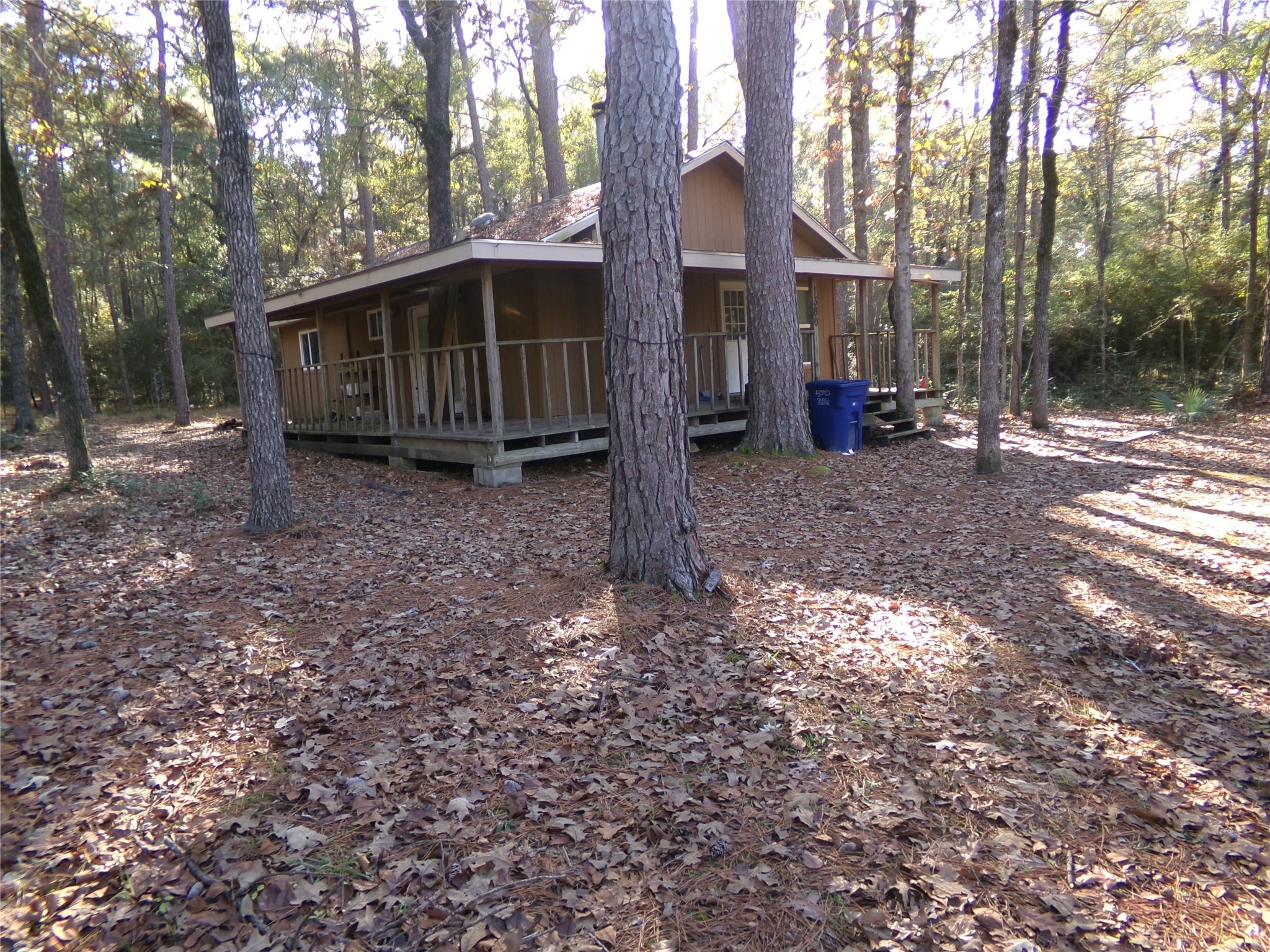 a view of a house with a yard and large tree