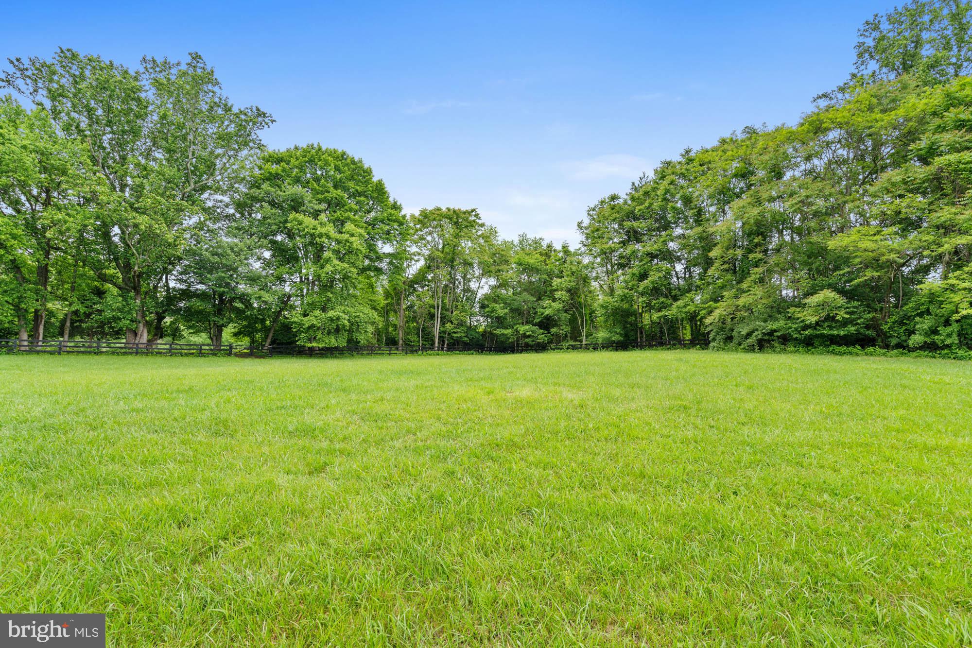 501 Richmond Road Castleton, VA 22716 - Photo 69 of 82 Fenced Paddocks