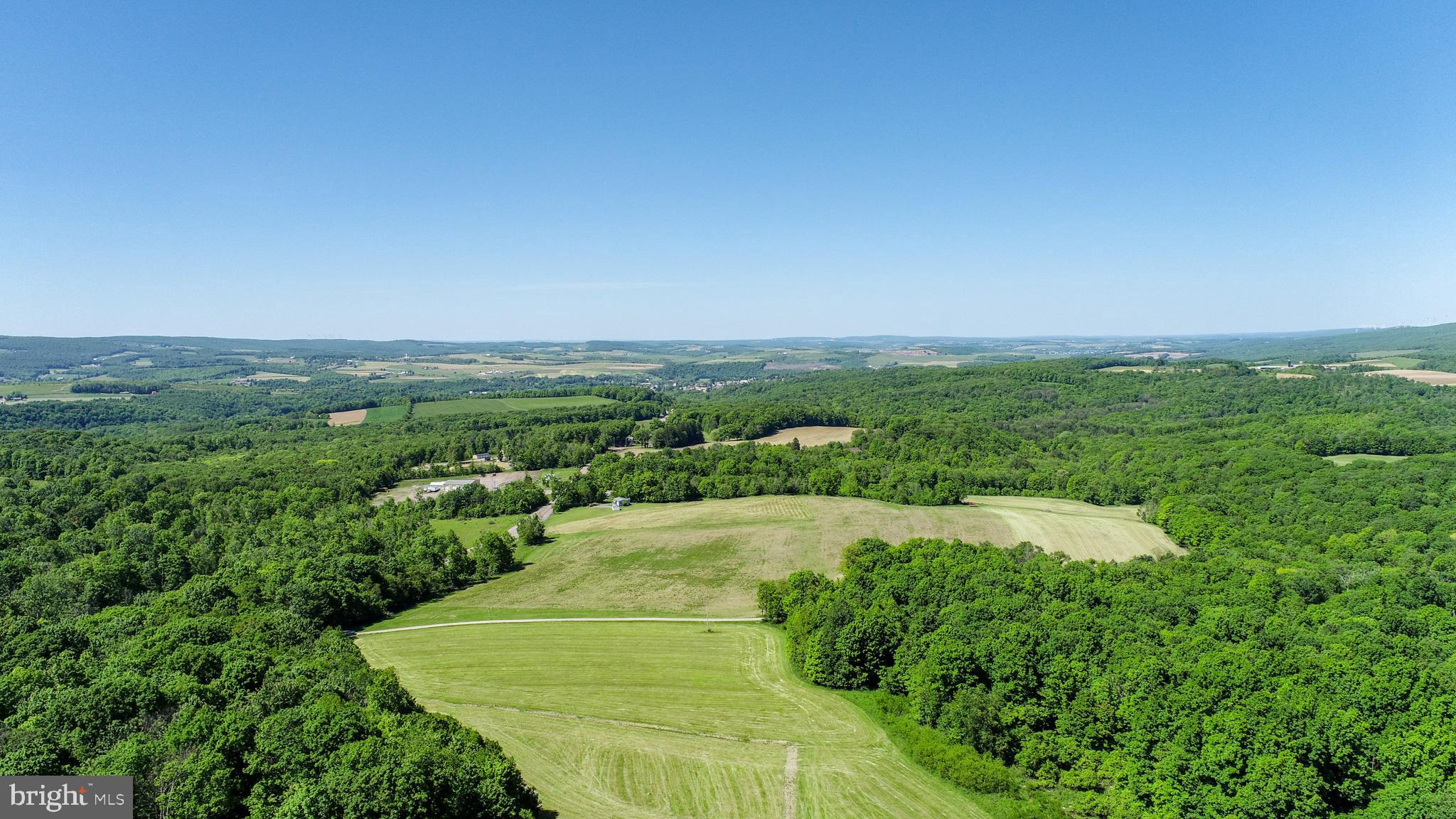 5-acres Chestnut Ridge Road Grantsville, MD 21536 - Photo 7 of 16