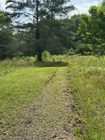 a view of a green yard