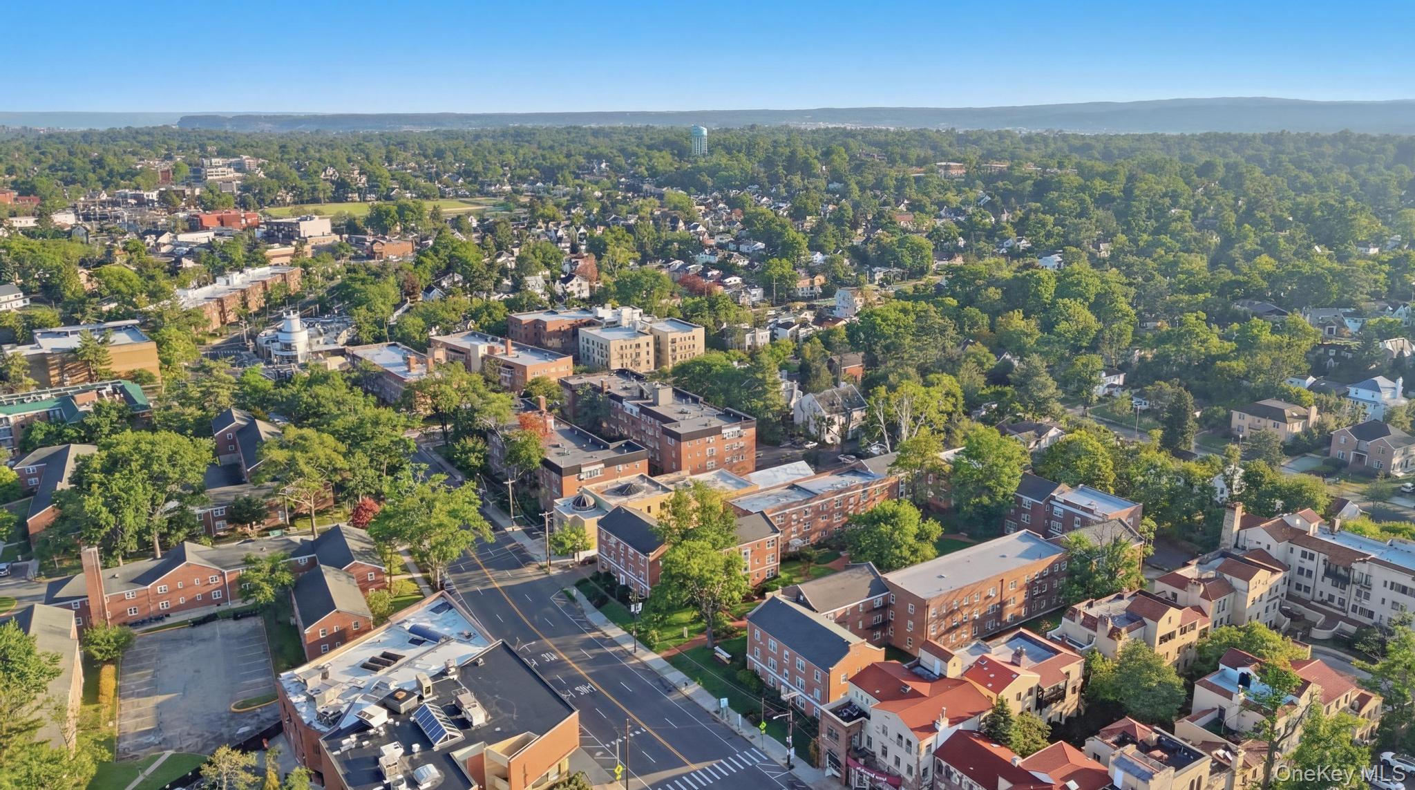 221 South Middle Neck Road, Unit F6 Great Neck, NY 11021 - Photo 6 of 16