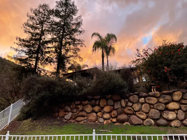 a view of a yard
