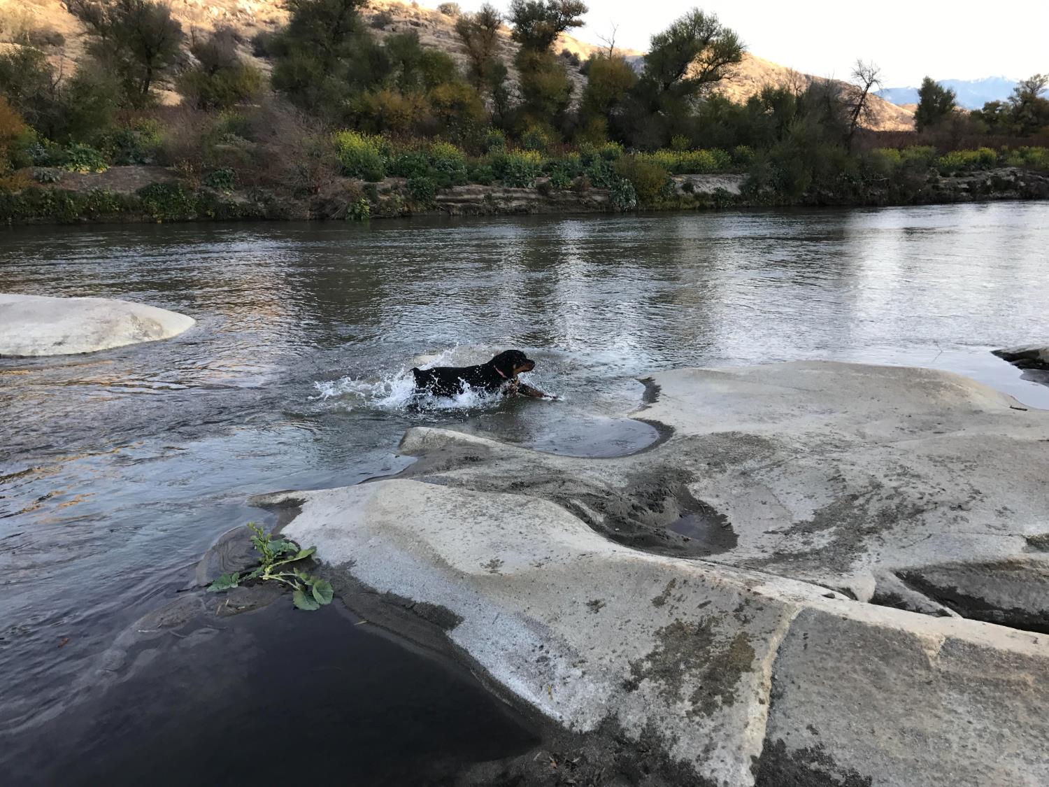 40820 Oak Ridge Drive Three Rivers, CA 93271 - Photo 24 of 47 a view of a lake with a mountain in the background