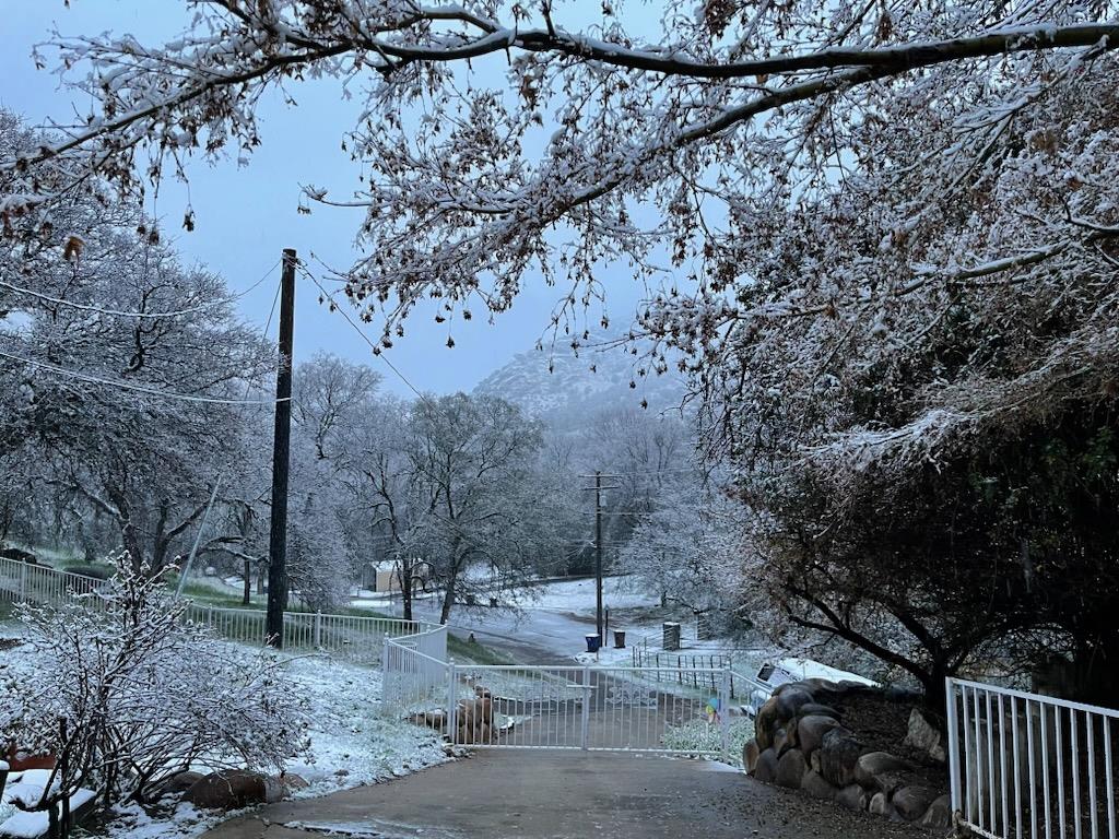 40820 Oak Ridge Drive Three Rivers, CA 93271 - Photo 25 of 47 a view of a yard