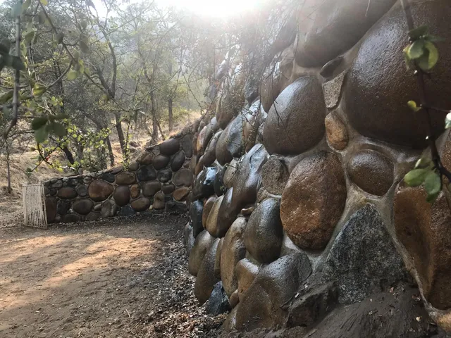 a view of a garden with plants