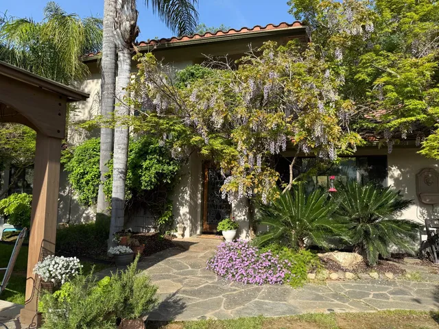 a view of a backyard