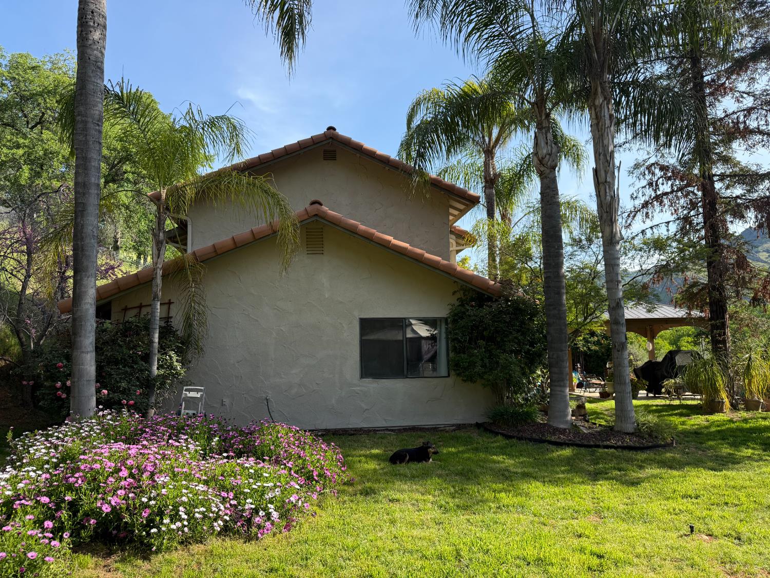 40820 Oak Ridge Drive Three Rivers, CA 93271 - Photo 33 of 47 a view of a house with pool and garden