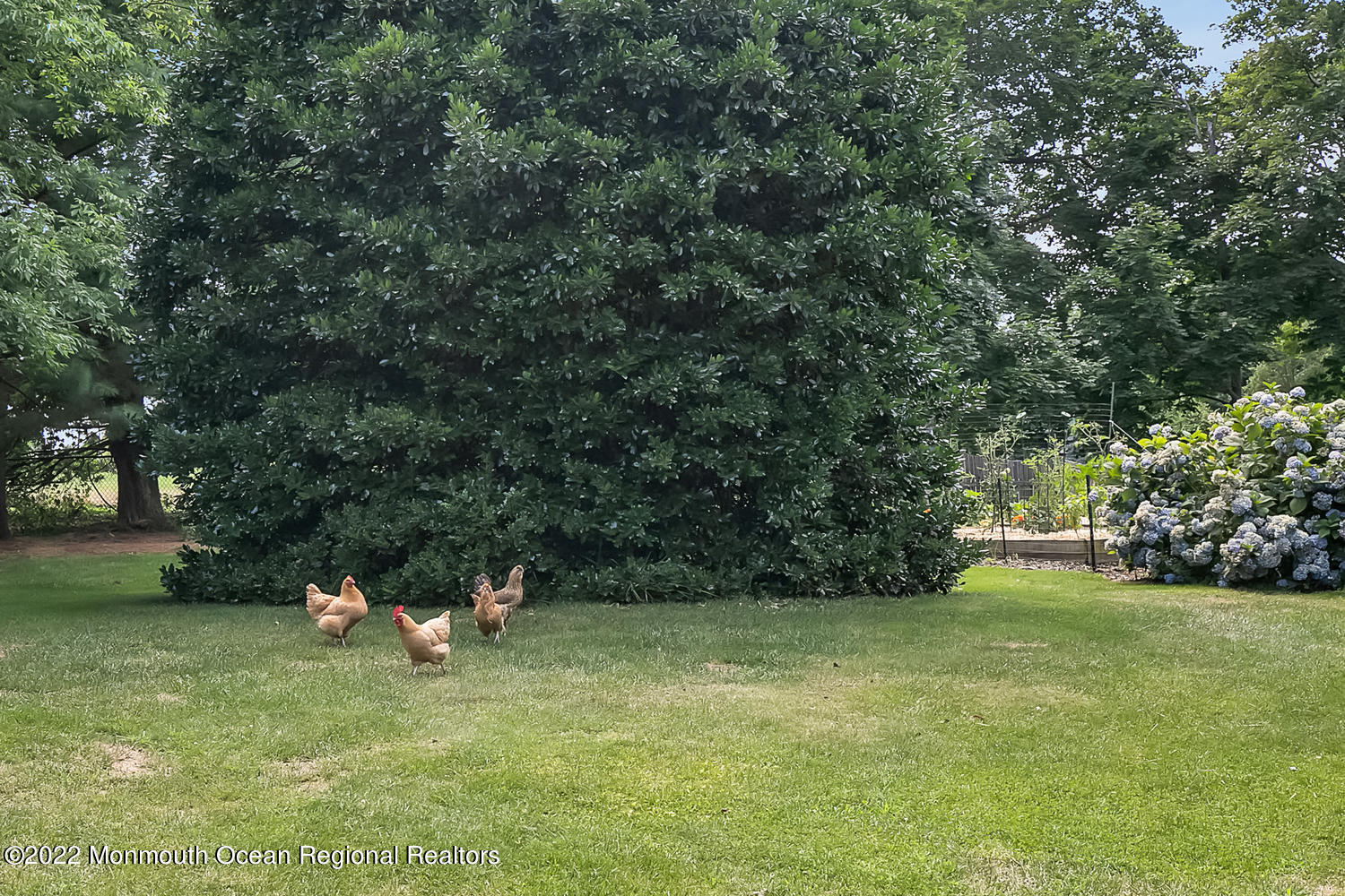 444 Cooper Road Middletown, NJ 07701 - Photo 28 of 28 444 Cooper Rd Red Bank NJ-large-096-013-