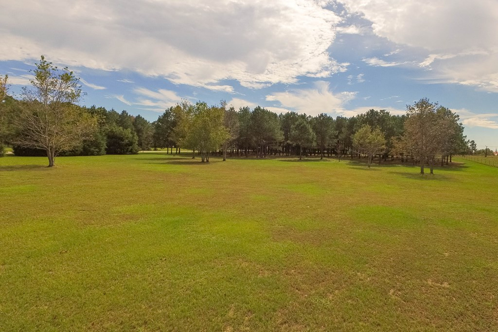 1579 Sylvan Grove Road Stapleton, GA 30823 - Photo 9 of 41 VIEW TO THE SIDE OF HOME