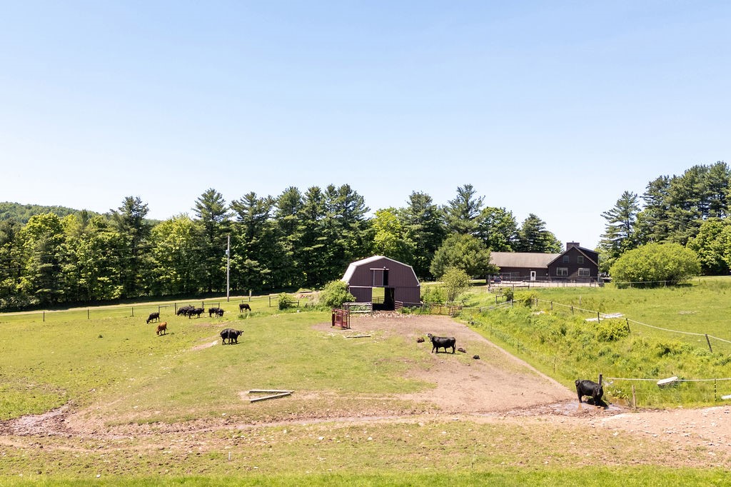 881 Turnpike Road Meredith, NY 13757 - Photo 15 of 50