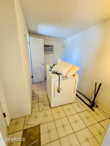 a large space with a large tree