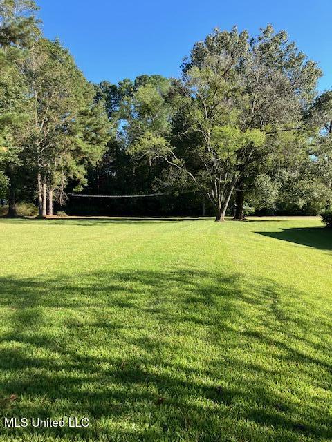 2 Rolling Hill Road Vicksburg, MS 39183 - Photo 36 of 36 IMG_1893