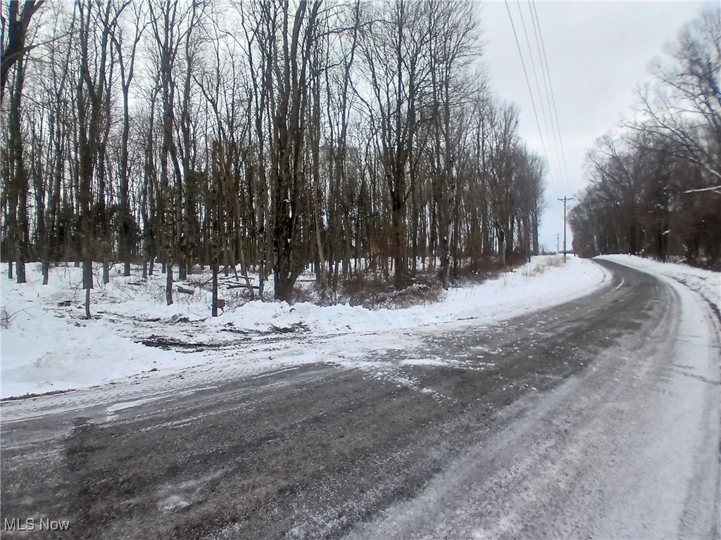 35224 Hull Road Salineville, OH 43945 - Photo 3 of 19