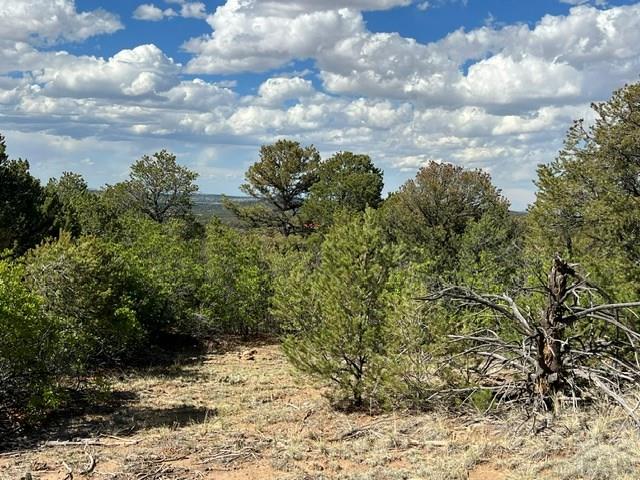 96 River Ridge Trail Walsenburg, CO 81089 - Photo 6 of 28